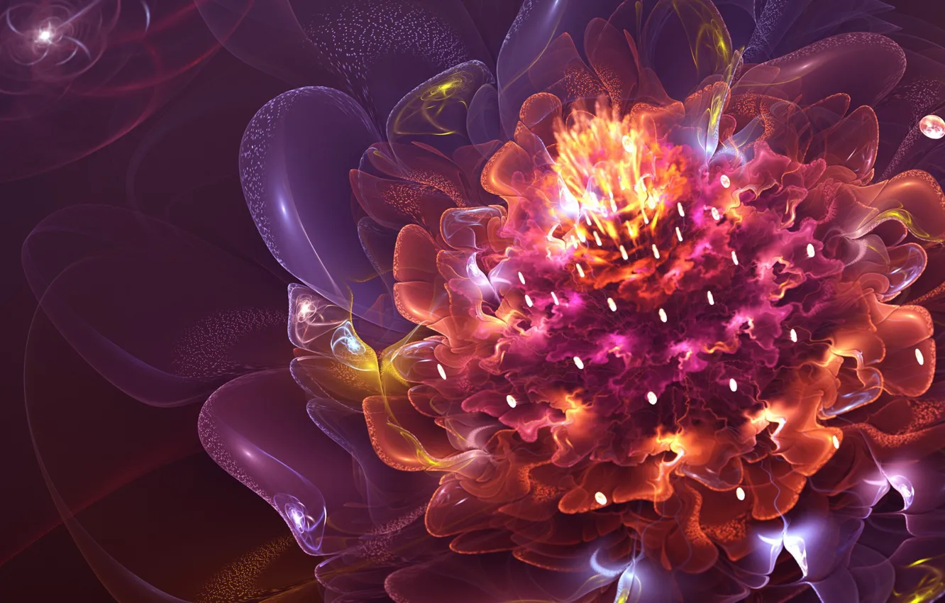 Photo wallpaper bright colors, fractals, beauty, beauty, fractals, bright colors, fire flower, fire flower