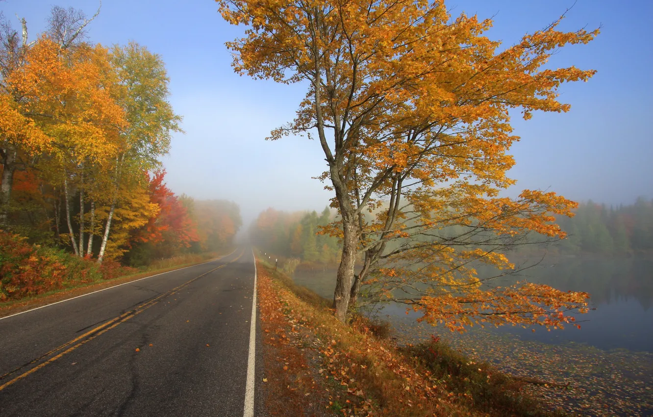 Photo wallpaper road, autumn, forest, fog, lake, photo