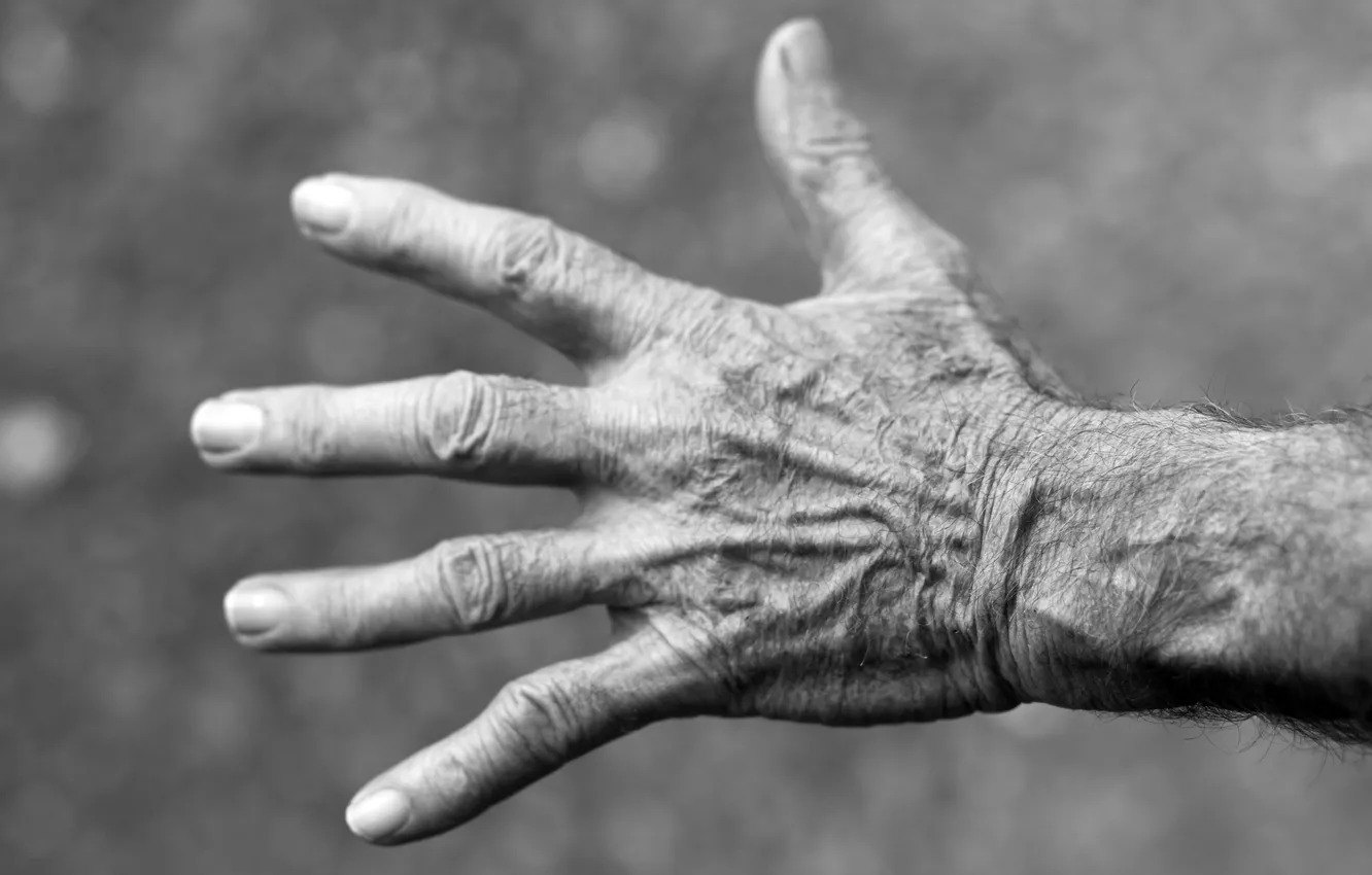 Photo wallpaper hands, black and white, brush, wrist