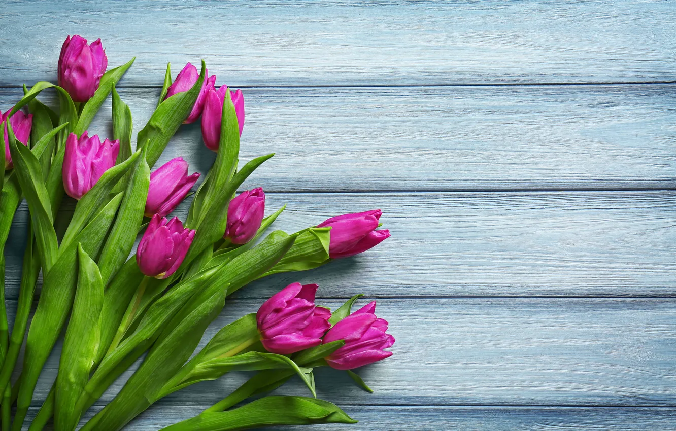 Photo wallpaper flowers, bouquet, tulips, wood, flowers, tulips, spring, purple