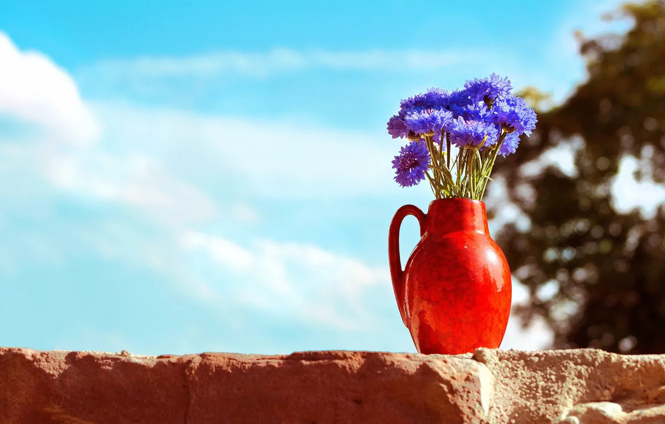 Photo wallpaper flowers, bouquet, vase, cornflowers
