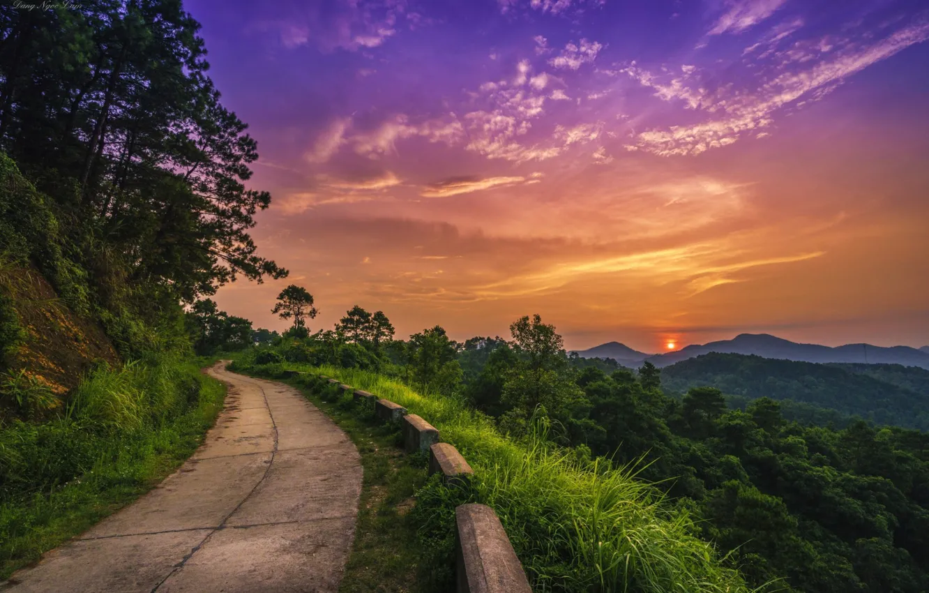 Photo wallpaper road, forest, sunrise, turns, colorful sky
