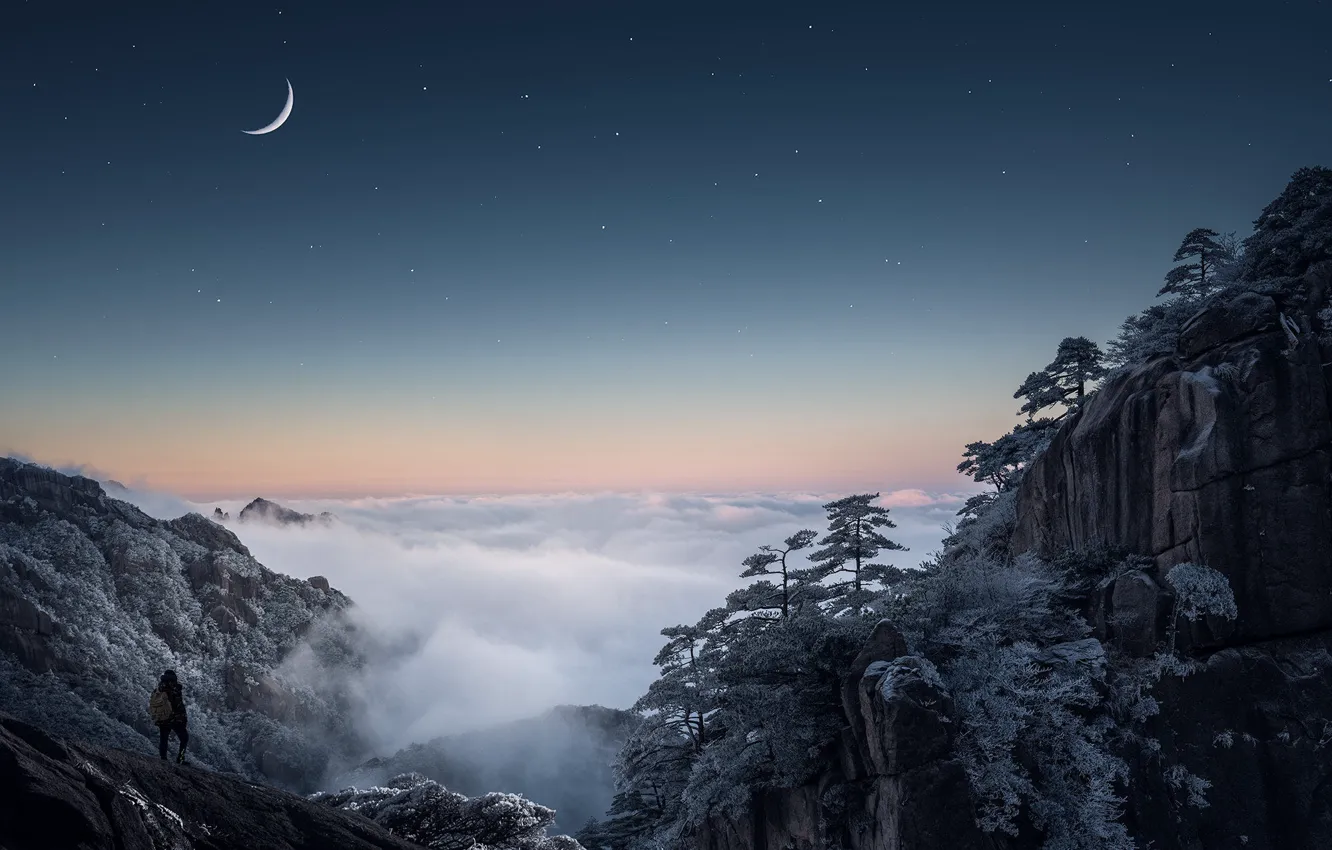 Photo wallpaper winter, frost, forest, the sky, stars, snow, trees, mountains