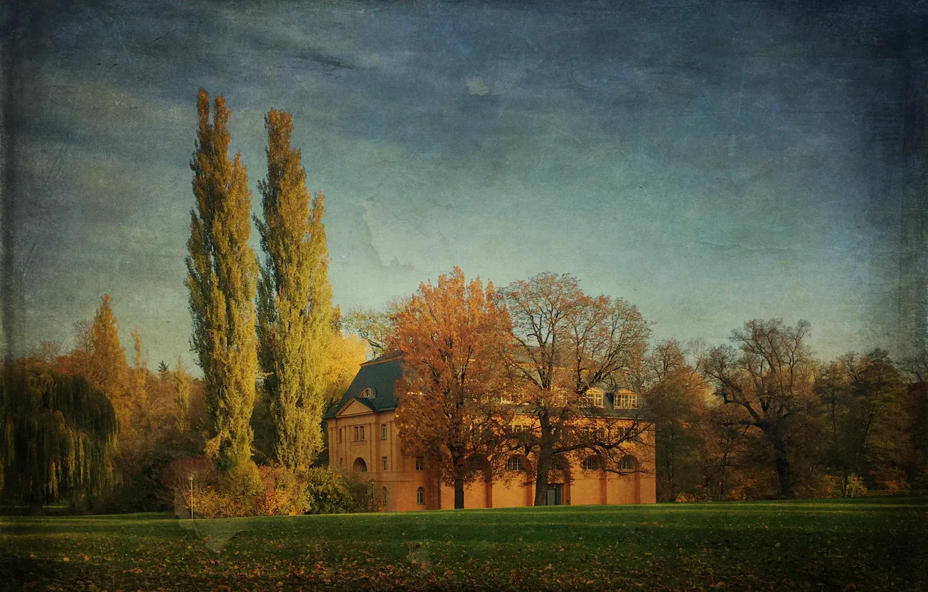 Photo wallpaper field, the sky, grass, leaves, trees, home, the countryside