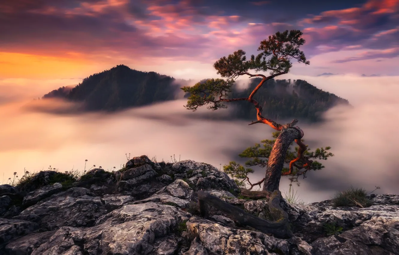 Photo wallpaper clouds, fog, rocks, the evening, morning, Germany, dello