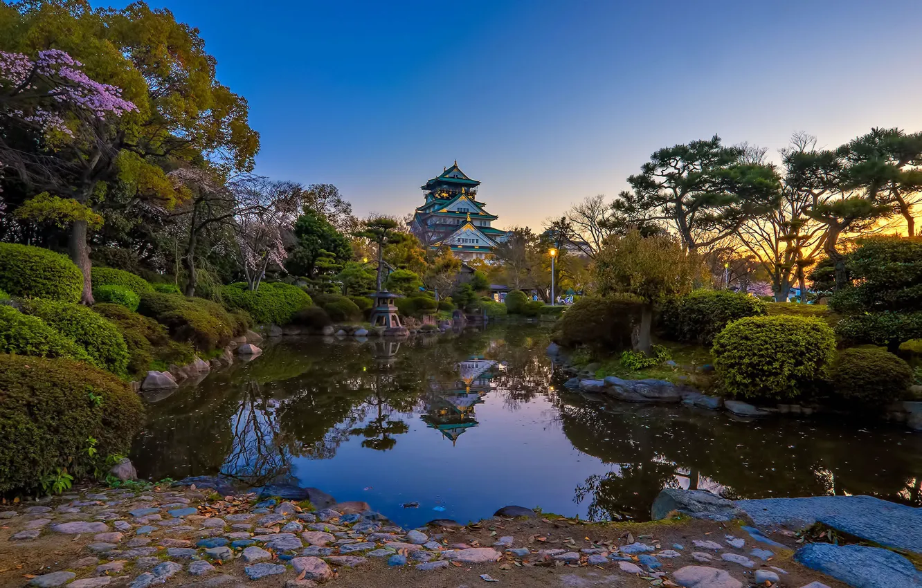 Photo wallpaper Park, spring, Japan
