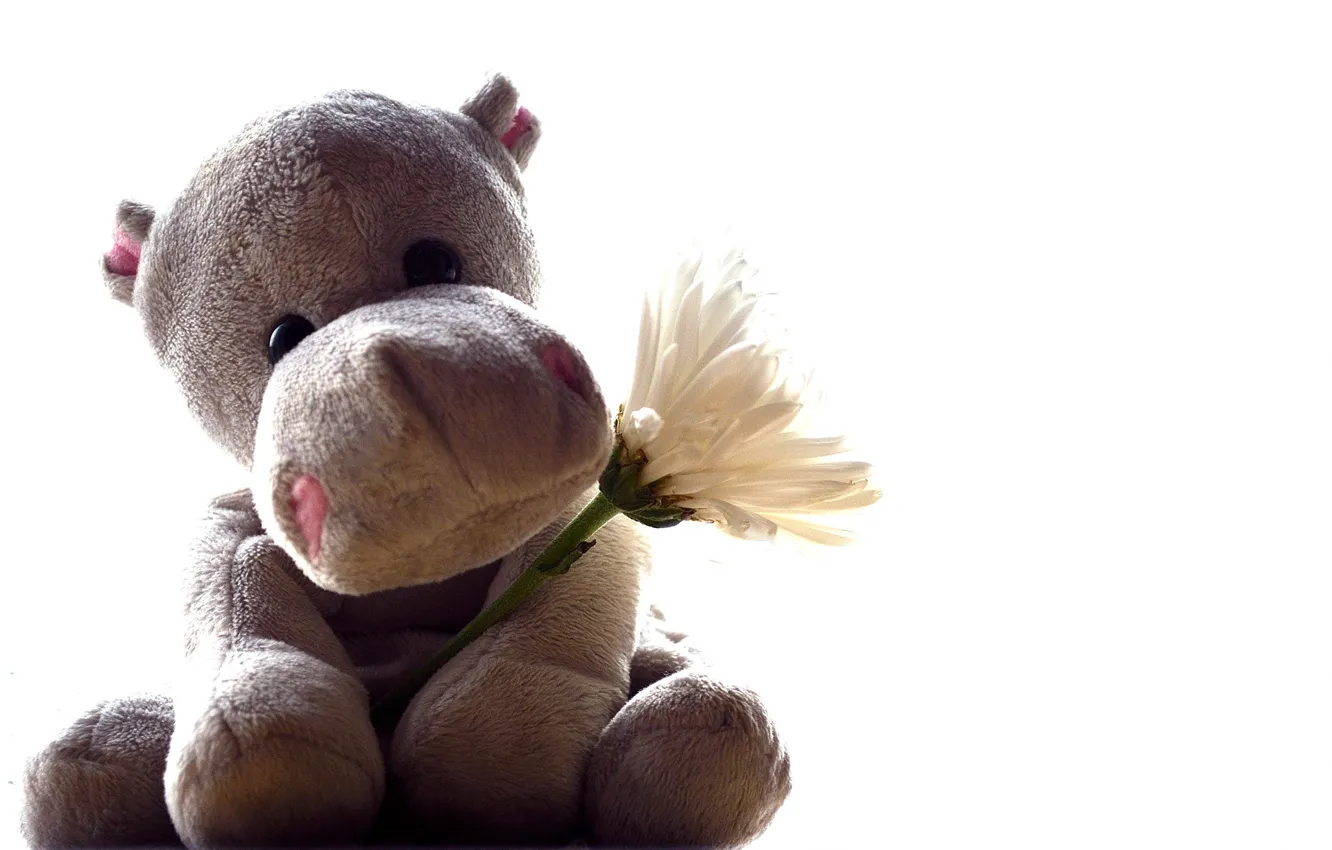 Photo wallpaper flowers, toy, Hippo