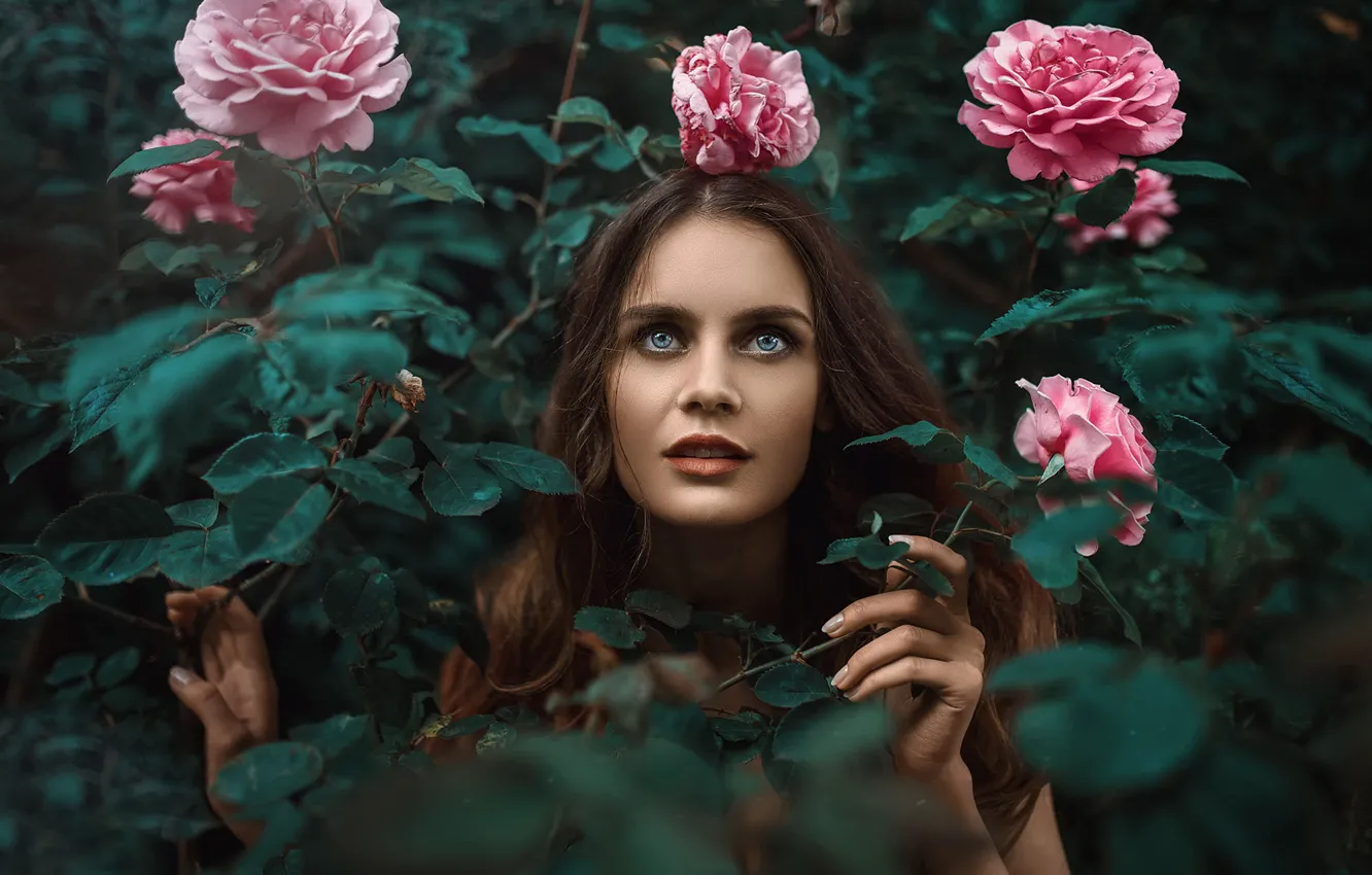 Photo wallpaper girl, portrait, roses, Turkey, Kᴬᴬᴺ ᗩᴸᵀᴵᴺᴰᴬᴸ, Kaan ALTINDA!