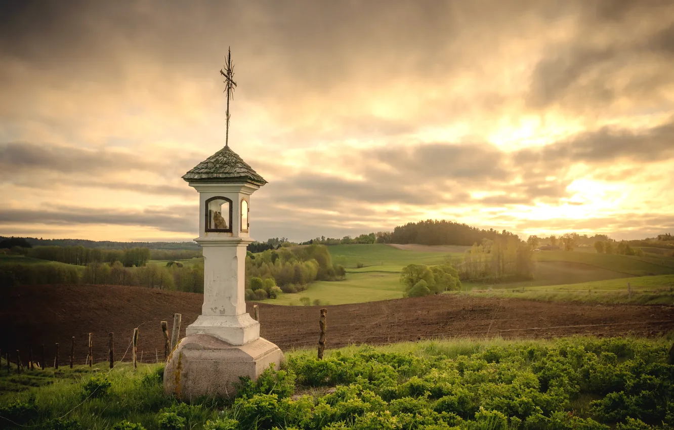 Photo wallpaper field, summer, sunset