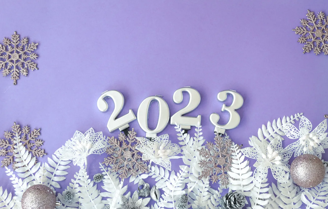 Photo wallpaper flowers, lilac background, figures, date, snowflakes, leaves, fern, silver