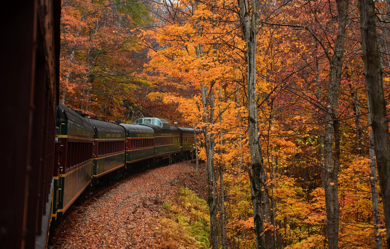 Photo wallpaper autumn, forest, trees, train, the car