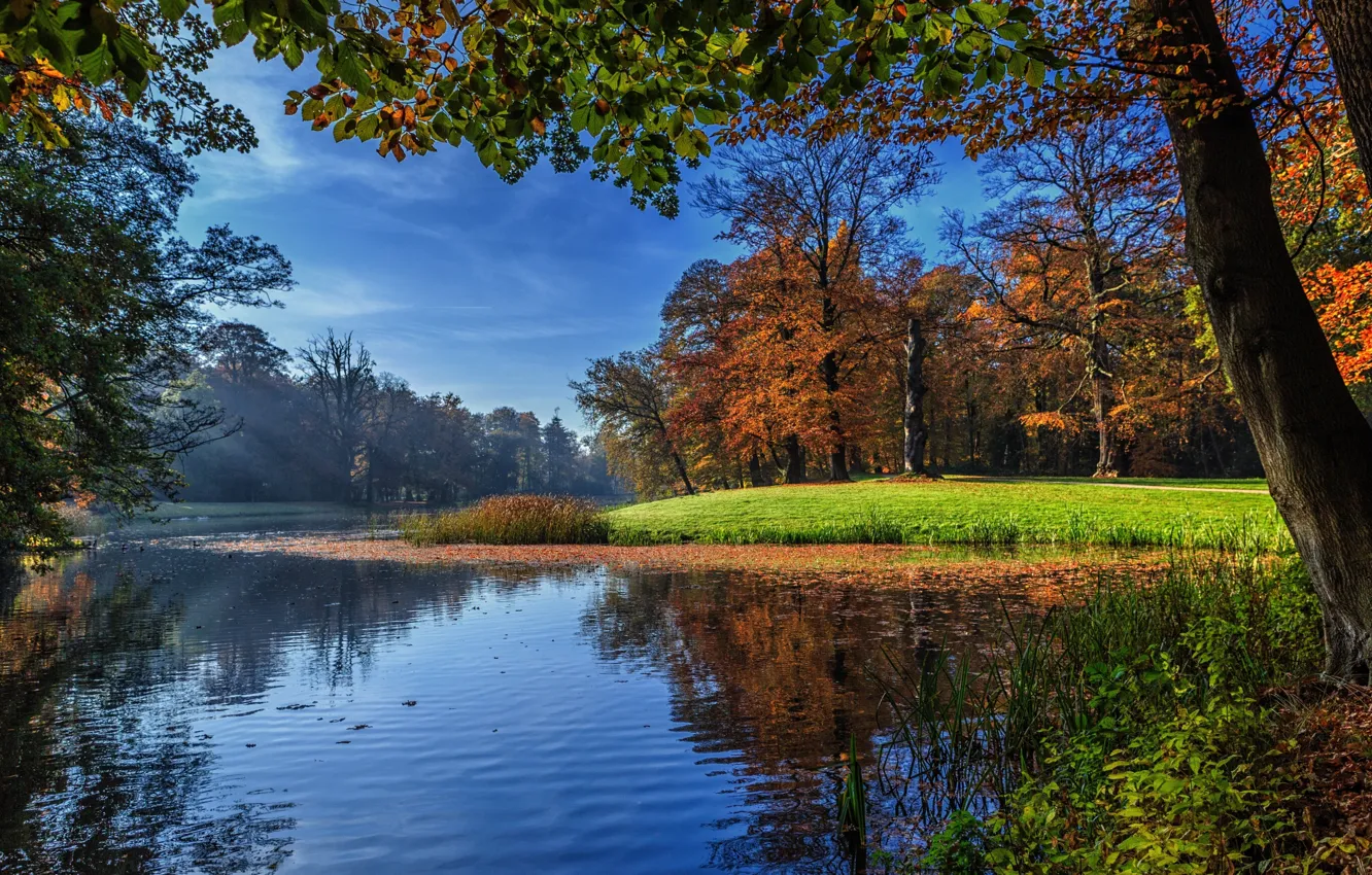 Photo wallpaper autumn, grass, rays, light, trees, landscape, nature, pond