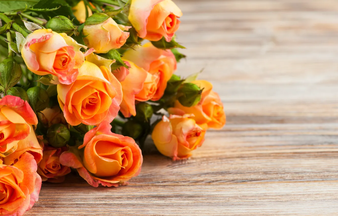 Photo wallpaper orange, table, roses, THE OFF