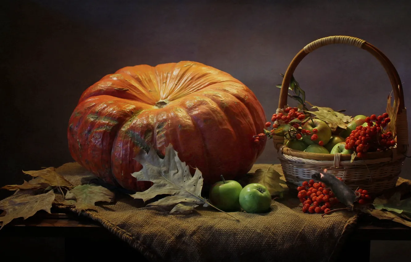 Photo wallpaper leaves, berries, basket, apples, mouse, fabric, pumpkin, fruit