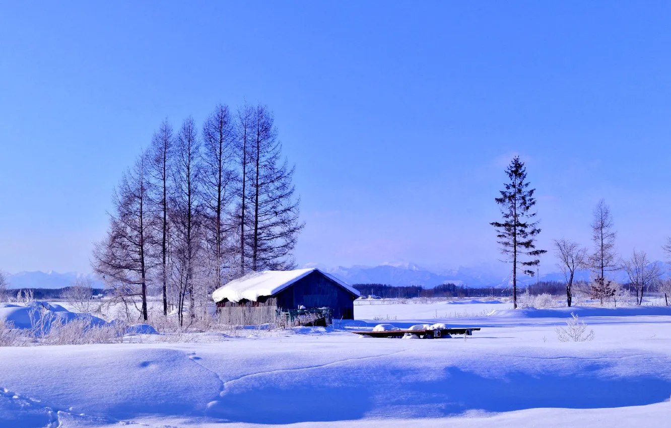 Photo wallpaper winter, the sky, snow, trees, house, horizon