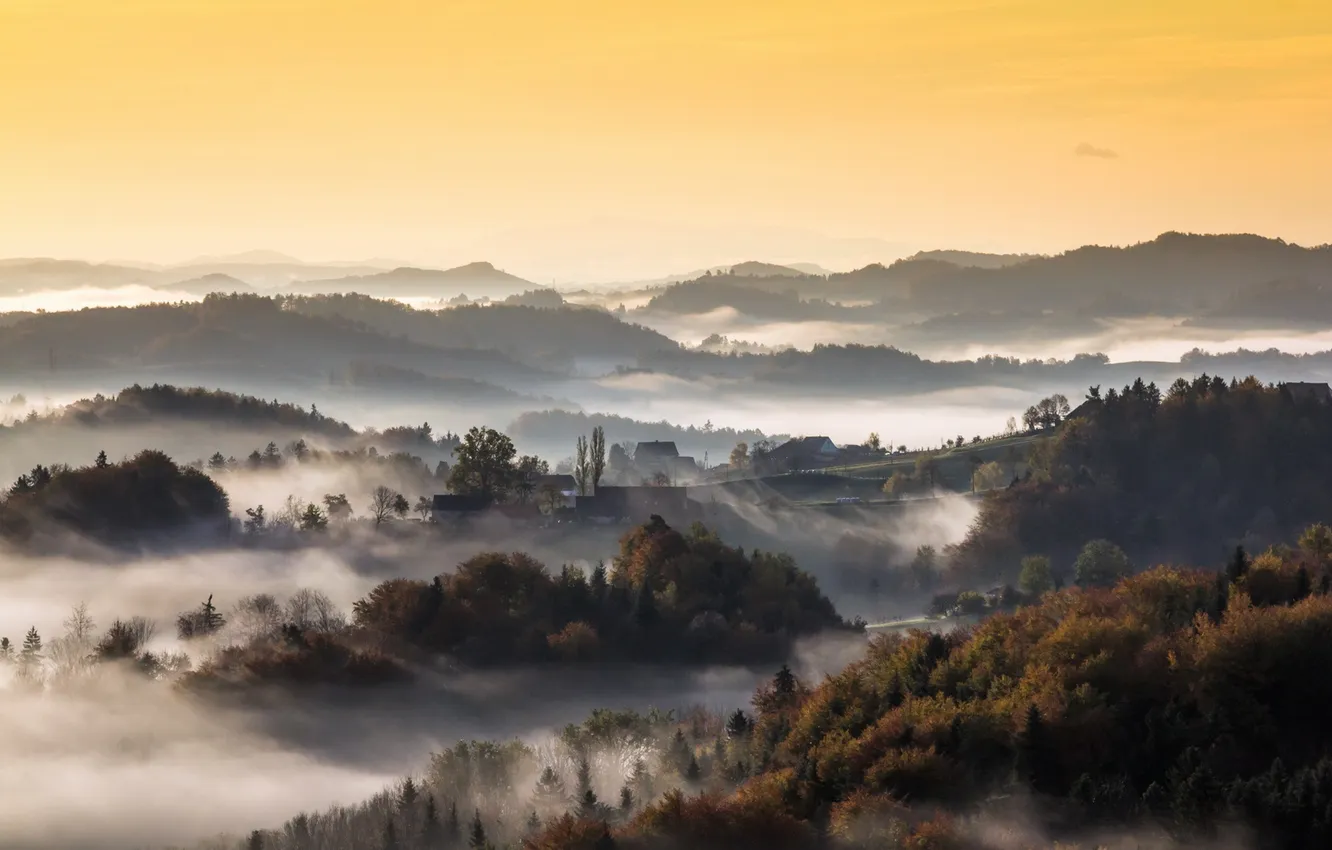 Photo wallpaper nature, fog, morning