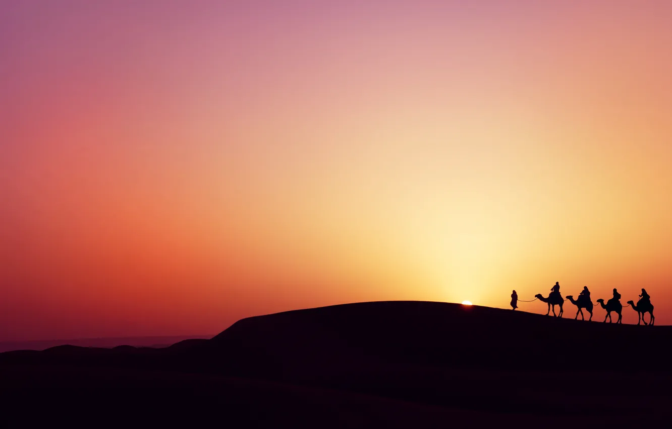 Photo wallpaper sunset, desert, desert, sunset, camels, the Bedouins, camels, bedouins