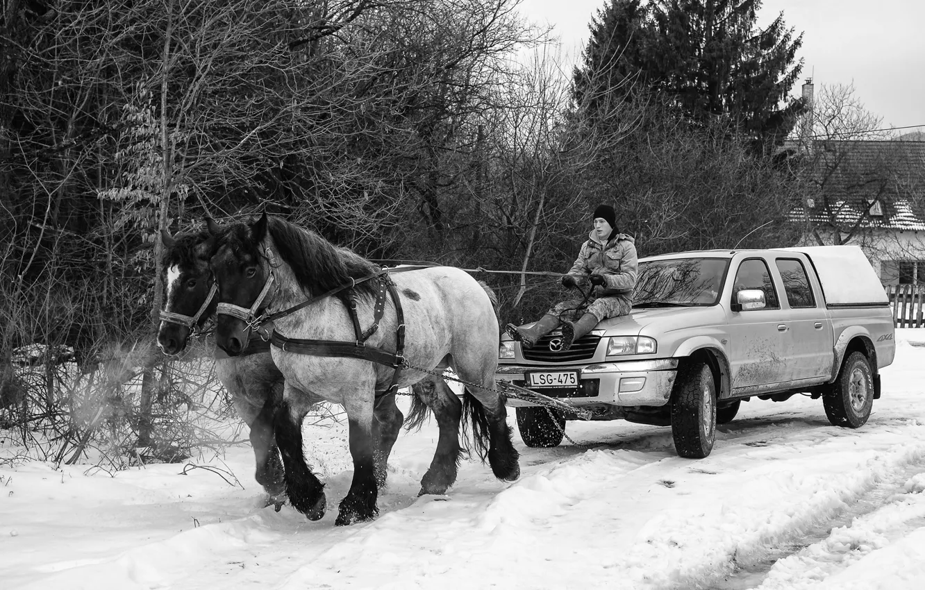 Photo wallpaper winter, machine, village, horse, Mazda