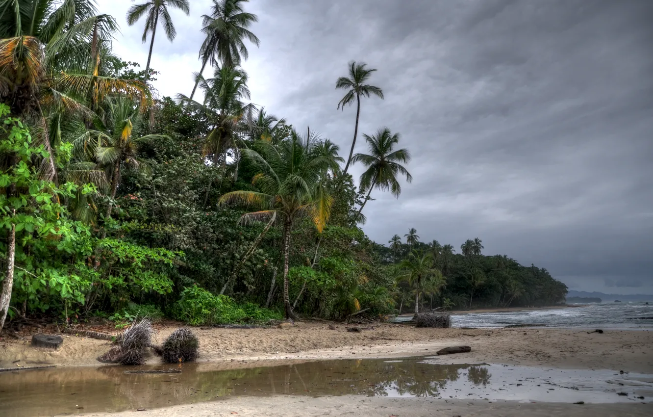 Photo wallpaper beach, trees, clouds, palm trees
