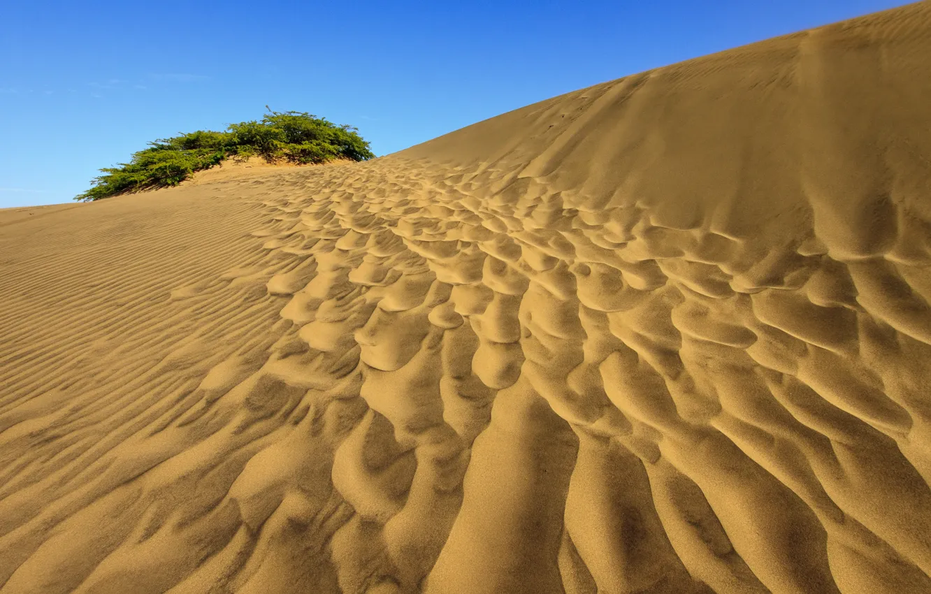 Photo wallpaper sand, landscape, desert