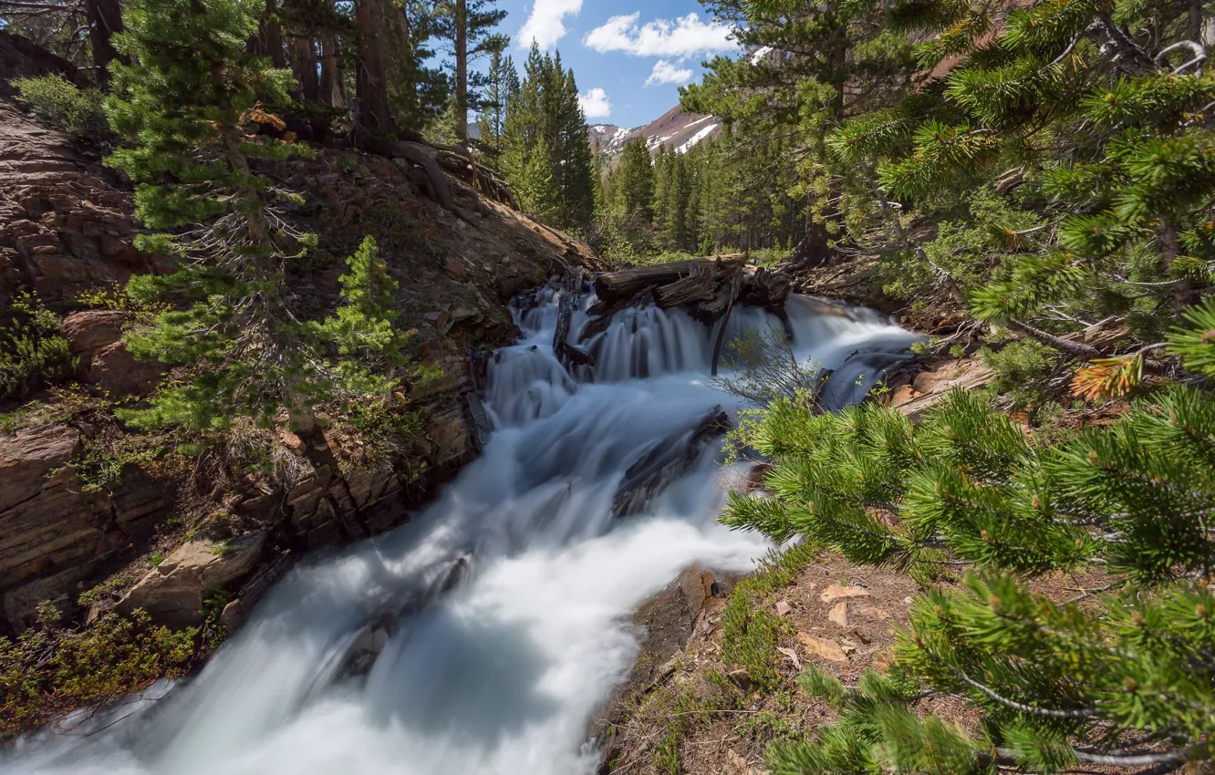 Photo wallpaper river, waterfall, stream, thresholds