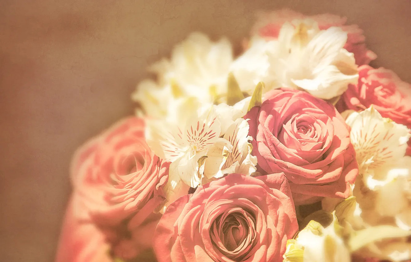 Photo wallpaper light, background, roses, bouquet