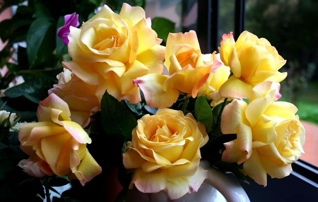 Photo wallpaper flowers, roses, bouquet, yellow, beautiful, yellow