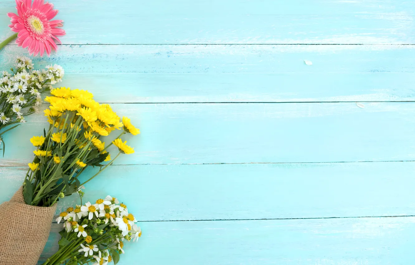 Photo wallpaper flowers, chamomile, gerbera, wildflowers