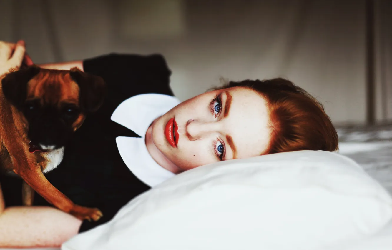 Photo wallpaper girl, dog, red