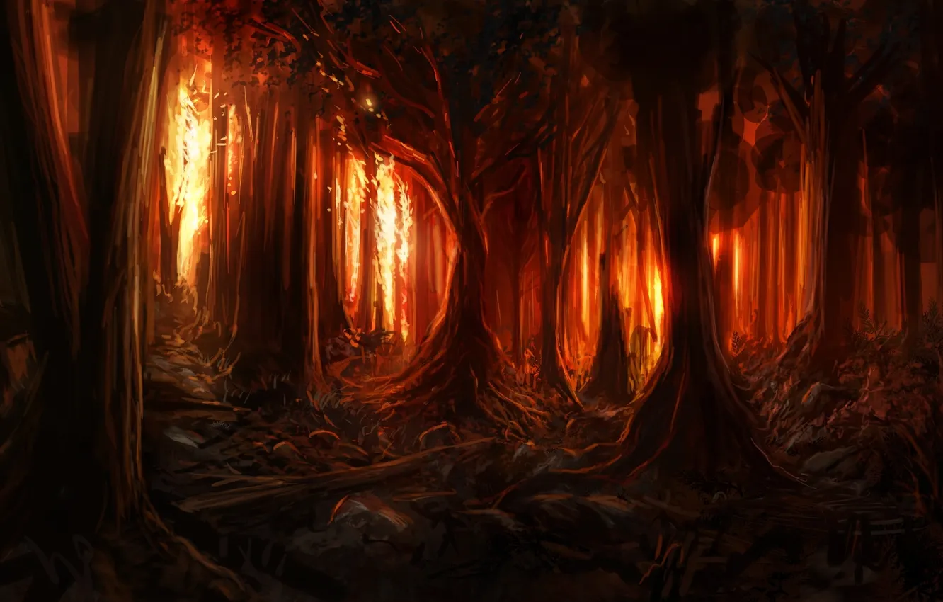 Photo wallpaper forest, trees, lights, fire, sparks
