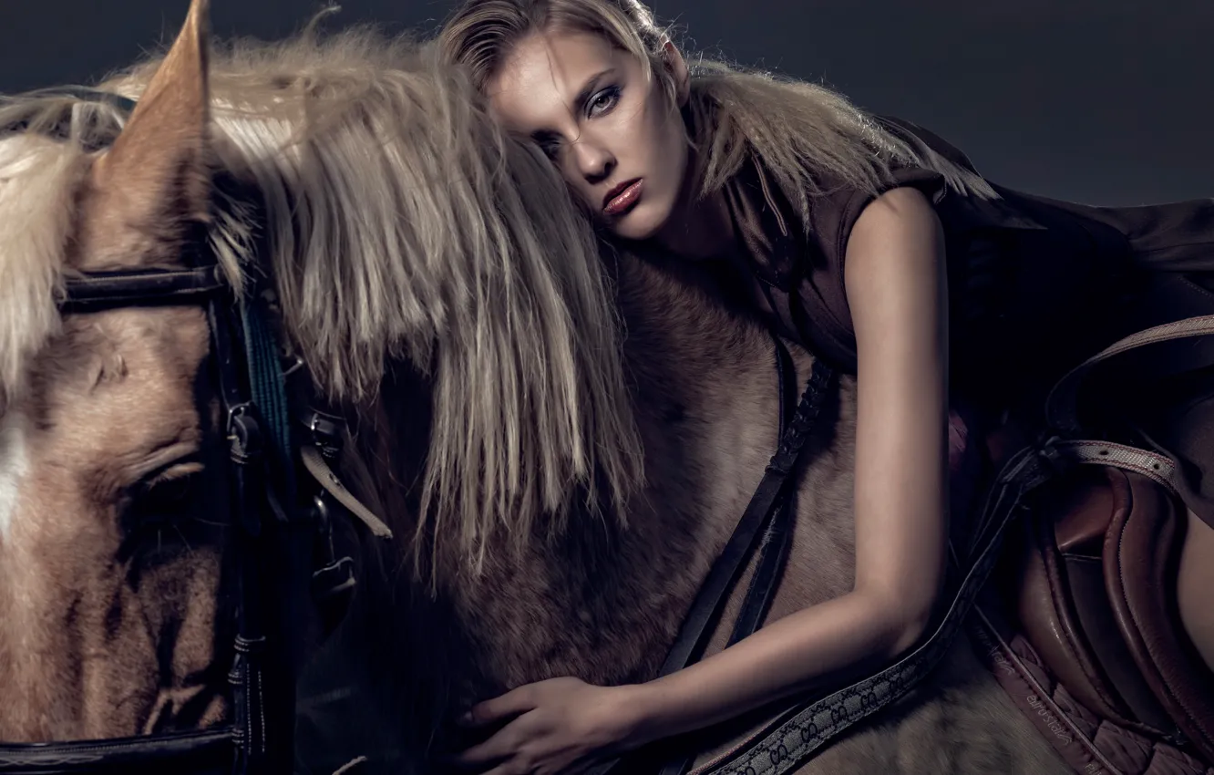 Photo wallpaper girl, horse, sponge, Chen Tao Liao