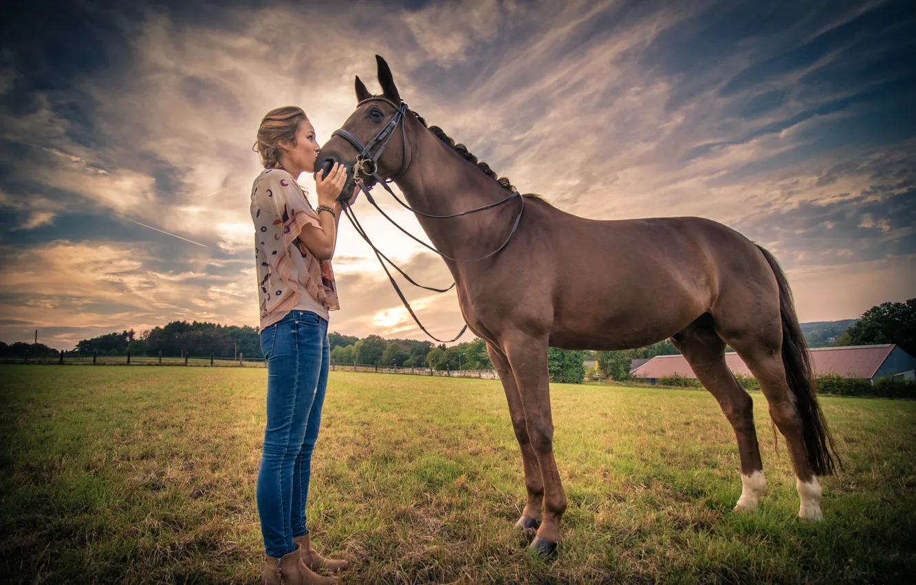 Photo wallpaper field, girl, horse