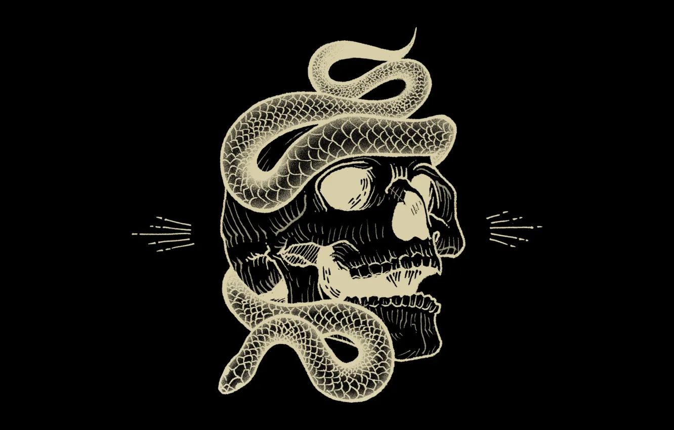 Photo wallpaper Music, Cover, Monstercat, Sullivan King, Dirtyphonics, Vantablack