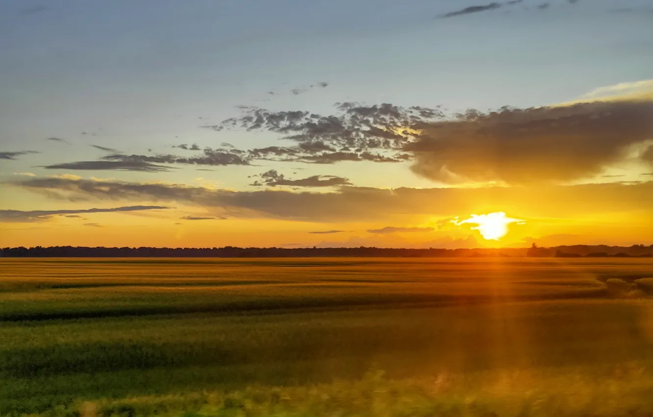 Photo wallpaper field, the sky, clouds, sunset, movement