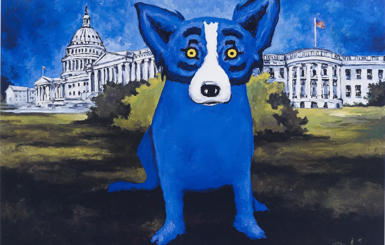 Photo wallpaper dog, blue, dog, rodrigue, george