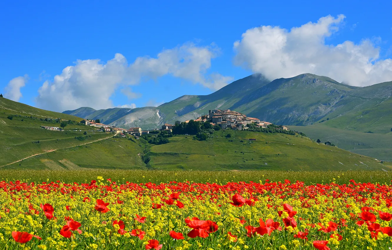 Photo wallpaper field, flowers, mountains, Maki, home, meadow, Italy, the village