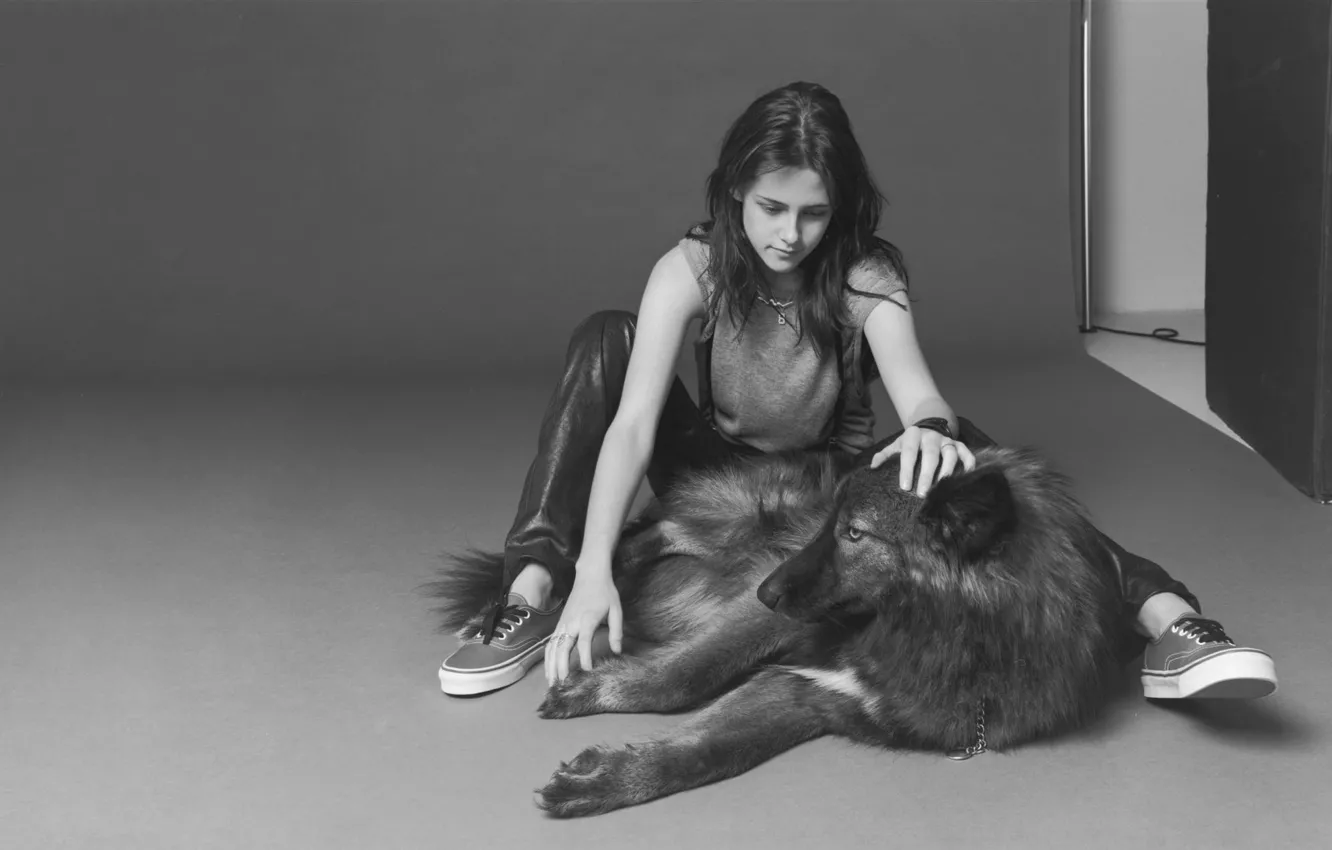 Photo wallpaper girl, dog, black and white, Kristen Stewart, Kristen Stewart, or the wolf