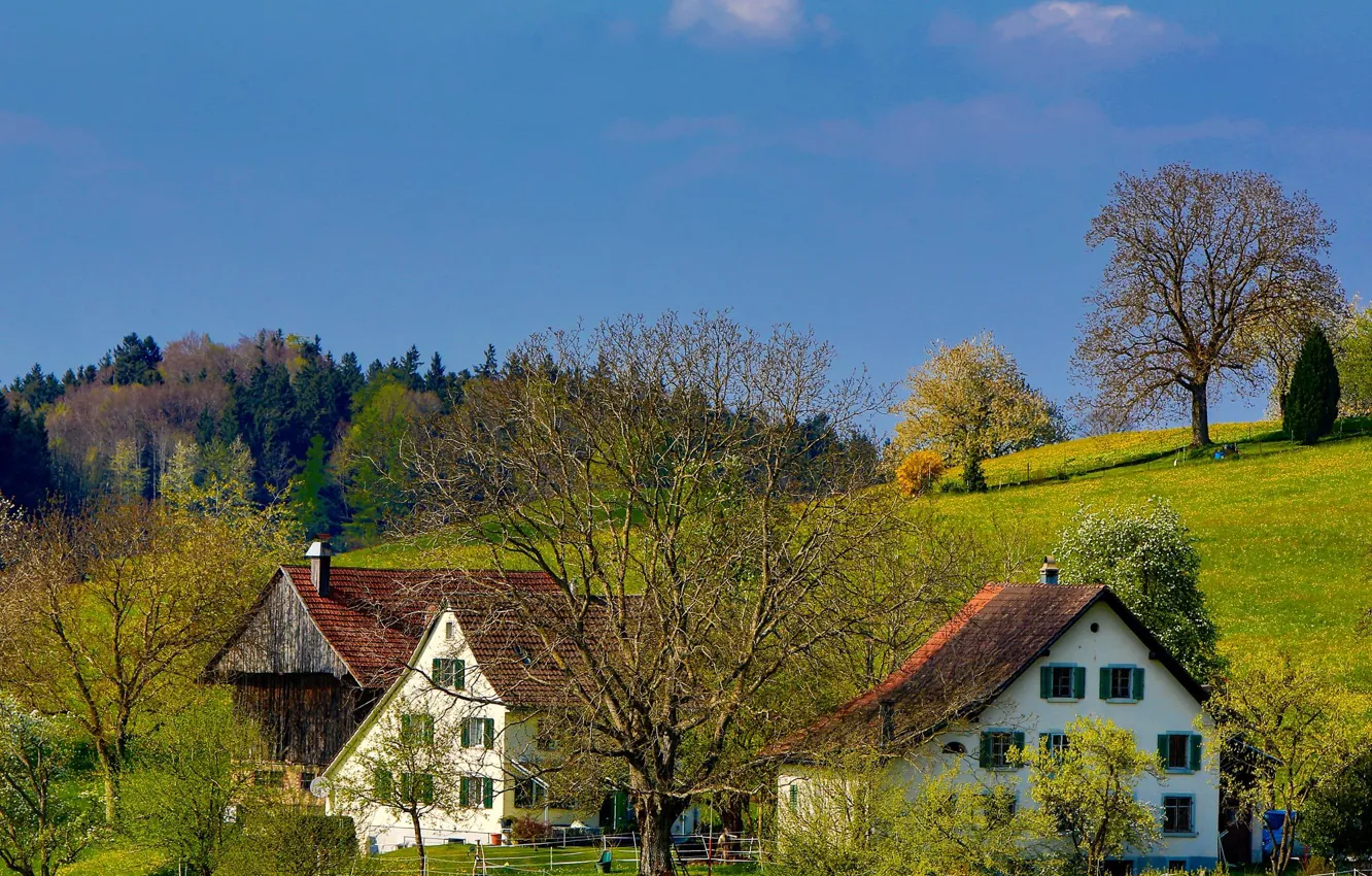 Photo wallpaper the sky, trees, hills, home