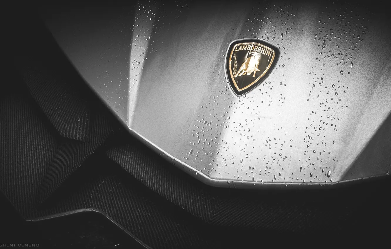 Photo wallpaper Need for Speed, Veneno, Rivals, Lamborghinni