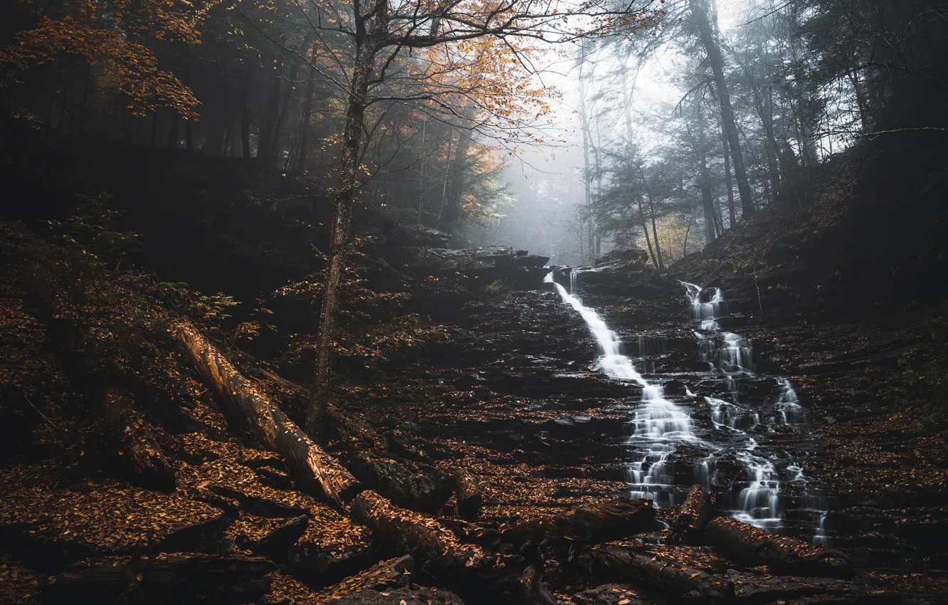 Photo wallpaper autumn, forest, waterfall