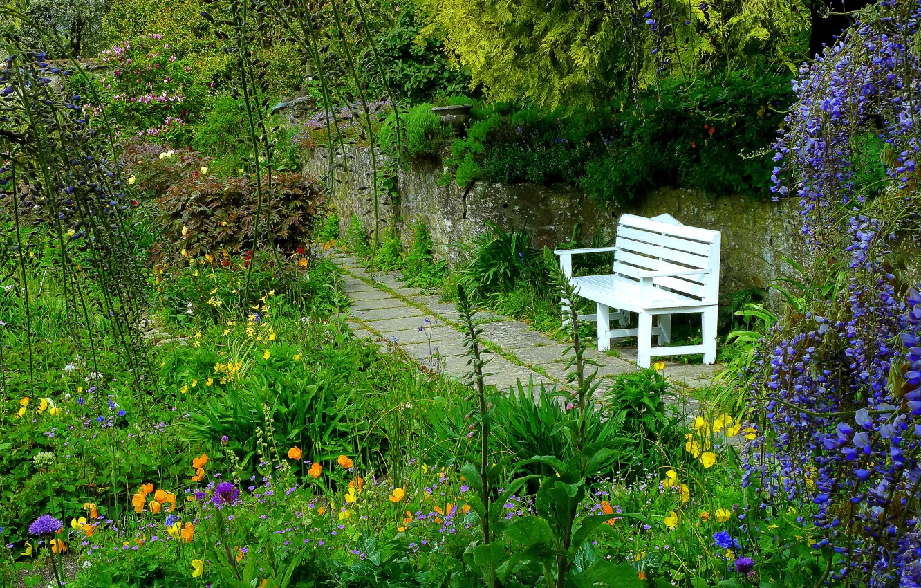 Photo wallpaper flowers, Park, garden, bench