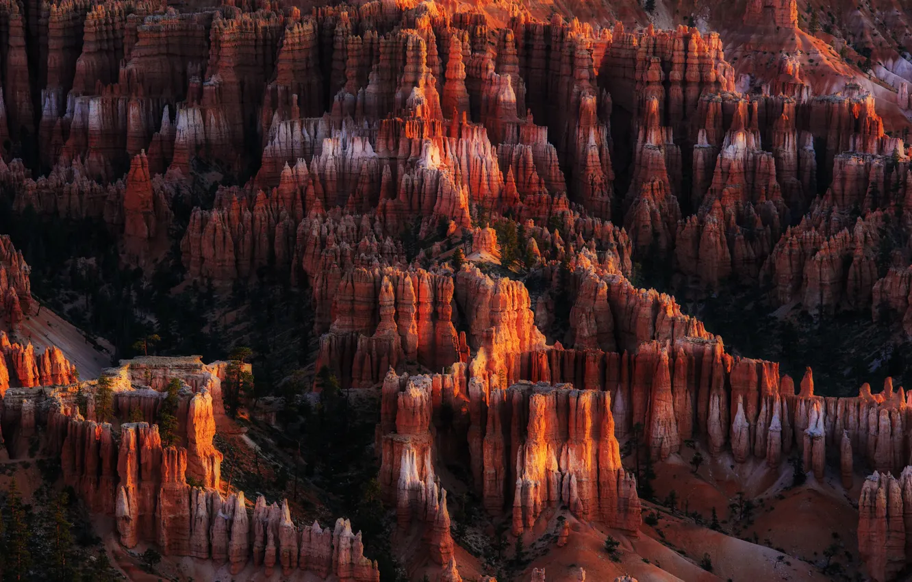 Photo wallpaper light, nature, rocks, morning, canyon, rfcd