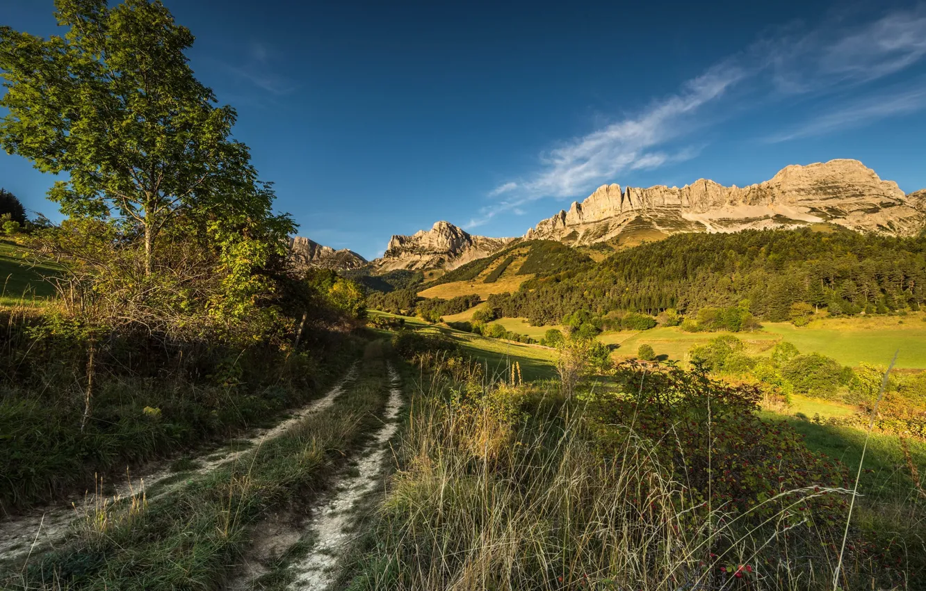 Photo wallpaper road, landscape, mountains, nature, trail