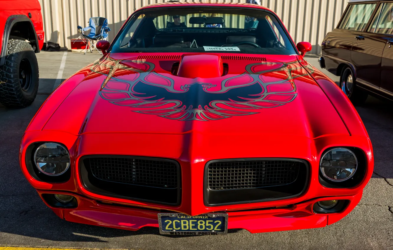Photo wallpaper Pontiac, 1970, Firebird