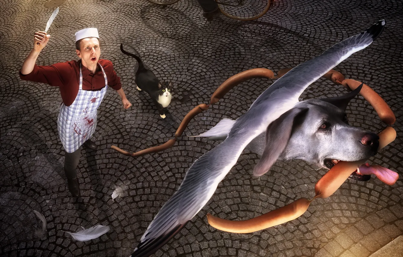 Photo wallpaper bird, dog, hybrid, butcher, thief