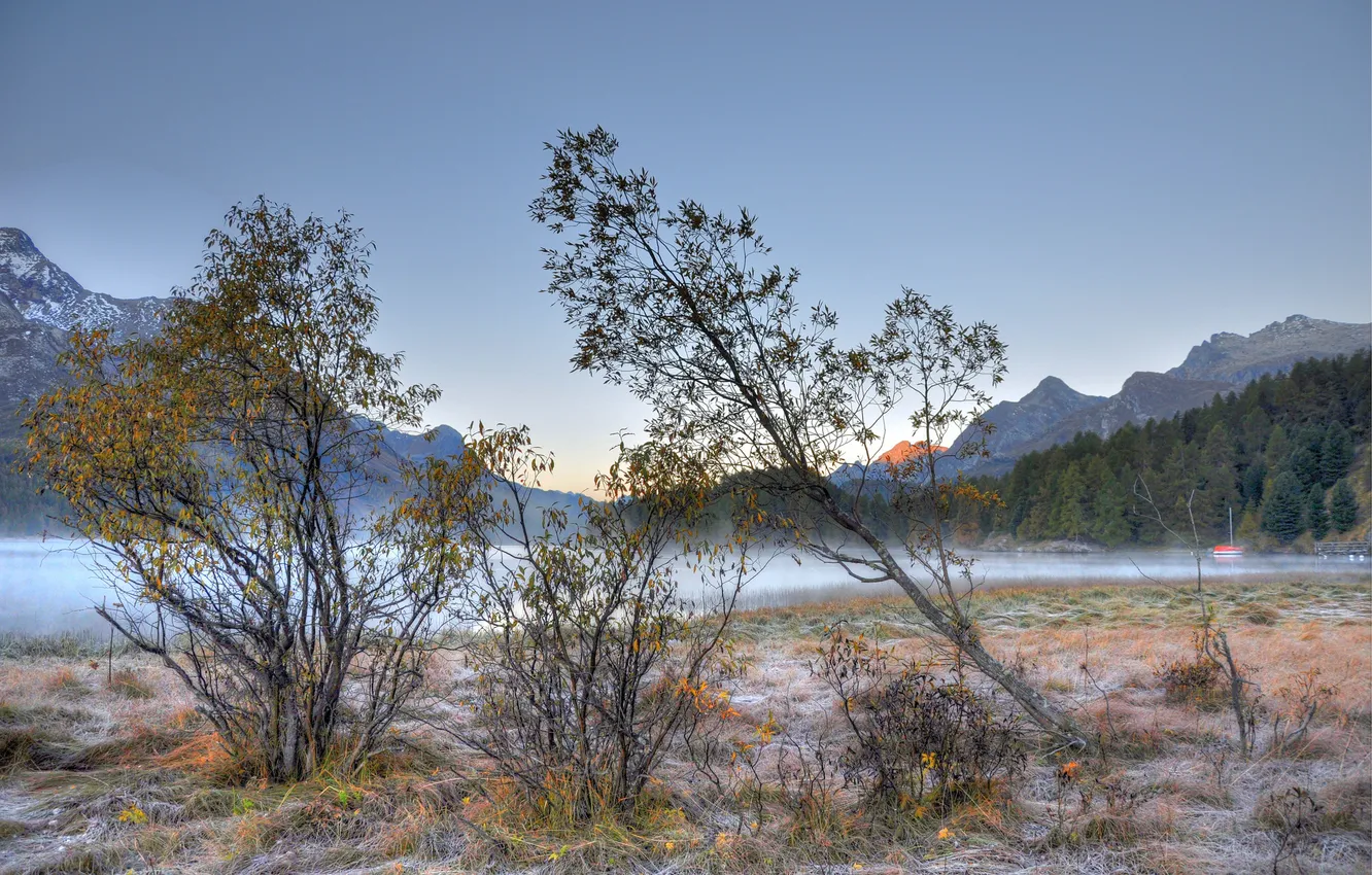Photo wallpaper frost, autumn, the sky, grass, trees, mountains
