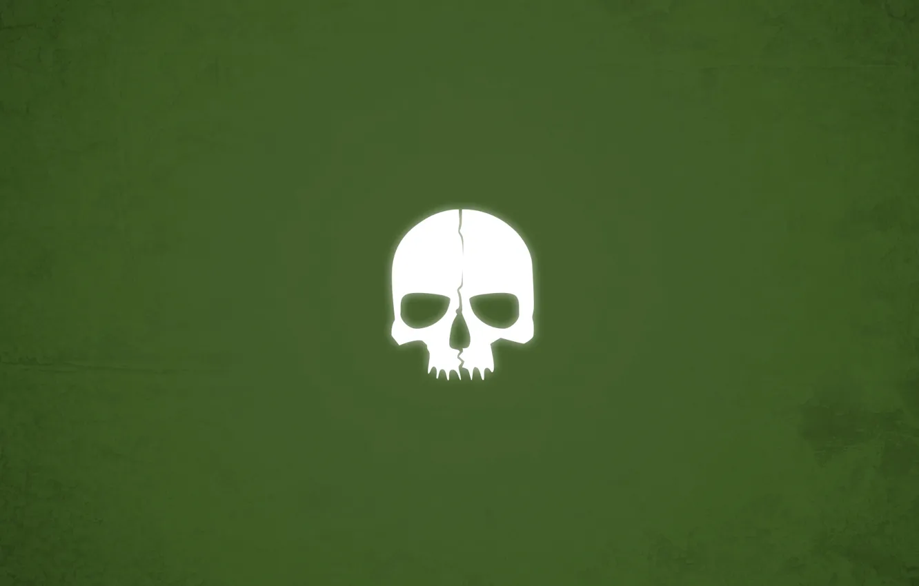 Photo wallpaper skull, minimalism, green background