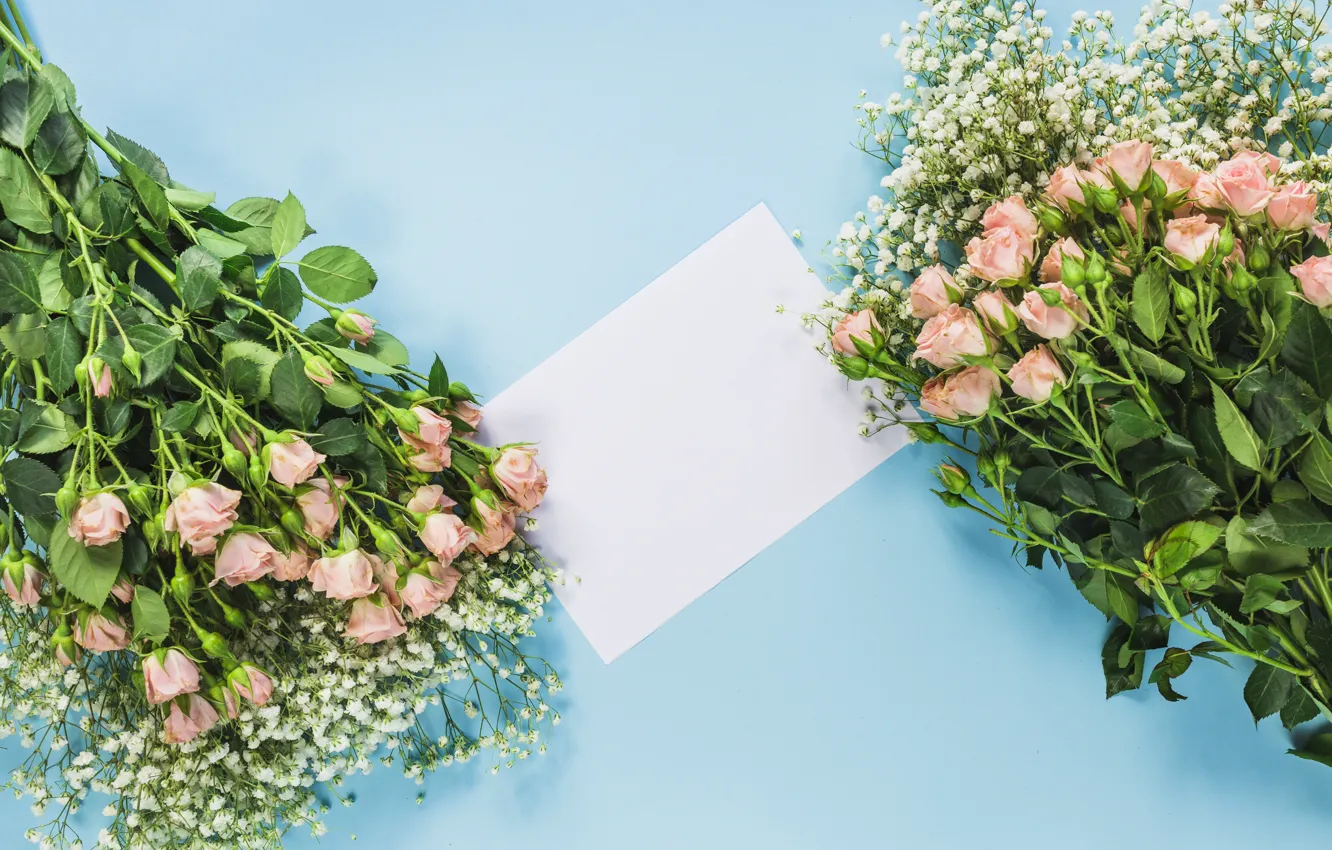 Photo wallpaper flowers, background, roses, bouquet