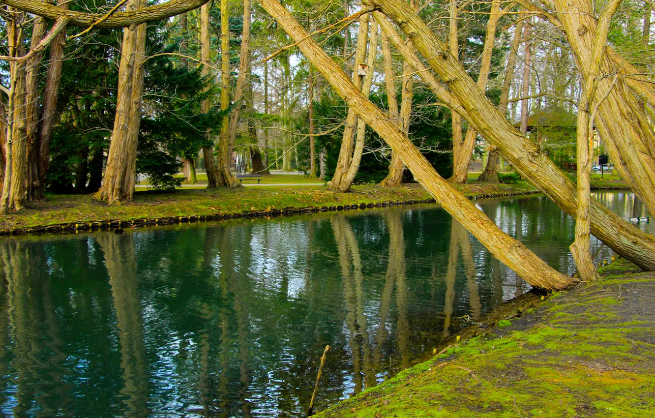 Photo wallpaper water, park, lake, pond