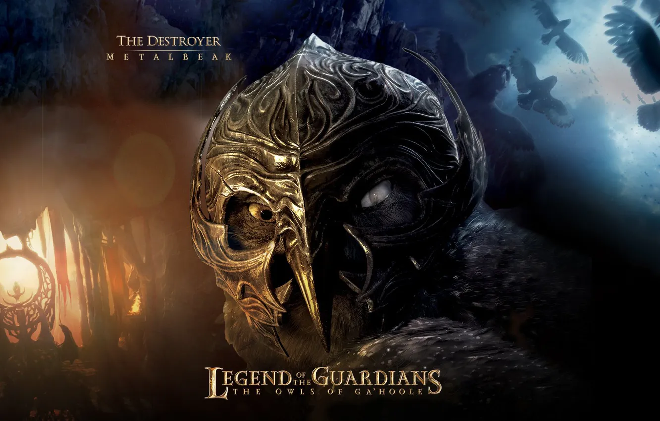 Photo wallpaper helmet, owl, Night guard